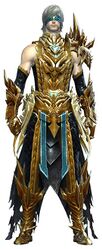 Mistward armor human male front.jpg