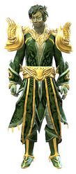 Incarnate armor sylvari male front.jpg