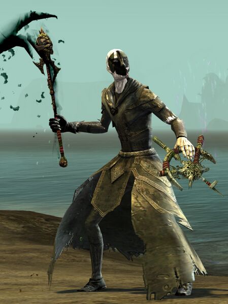 File:Risen Acolyte (male 1).jpg