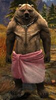 Lowland Kodan (hot springs 2).jpg