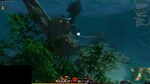 Aspect Gatherer 35 2021.jpg