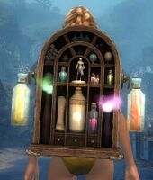 Elegant Artificer's Backpack.jpg