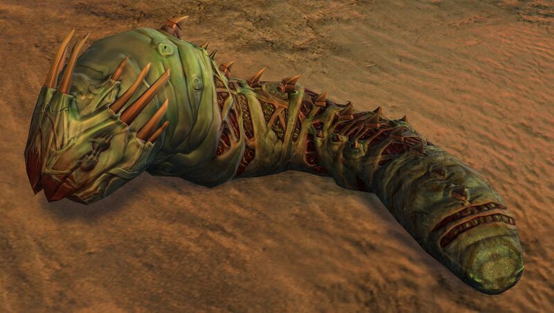 File:Risen Grub.jpg