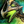 Mini Twisted Watchwork Moa.png