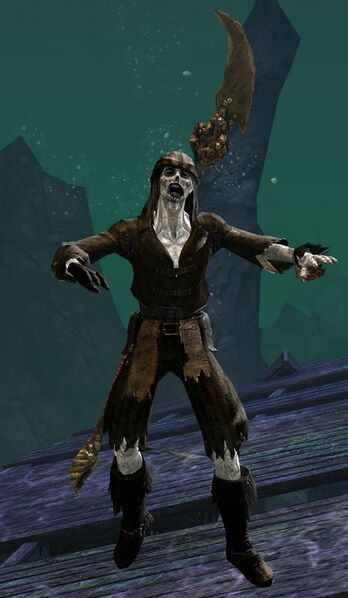 File:Risen Pirate (male 1 spear).jpg