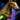 Mini Horse-Gourdon.png