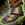 Glorious Hero's Footgear.png