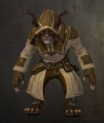 Traveler's Outfit