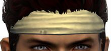 Martial Artist's Headband.jpg