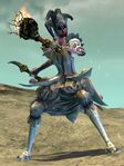 Risen Jester (female).jpg