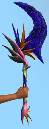 Strelitzia Crystallinum Axe.jpg