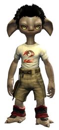 Dragon Emblem Clothing Outfit