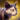 Mini Tortoiseshell Cat.png