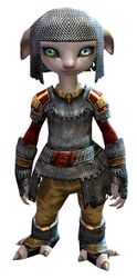 Worn Chain armor asura female front.jpg