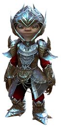 Ceremonial Plated Outfit