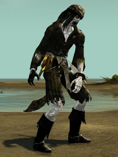 File:Risen Pirate (male 1).jpg