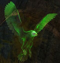 Veteran Risen Eagle.jpg