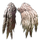 White Wings Glider Combo.png