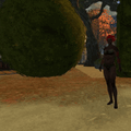 Animation (non-persistent).