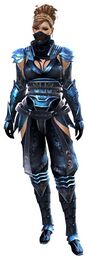 Shadow Assassin Outfit