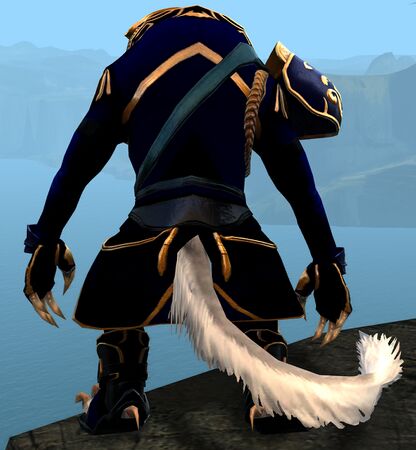 Back view