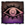 Kinetic Insight