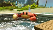 Poolside Party Homestead Package promo 3.jpg