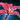 Terebinth Flower.png