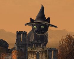 In the Black Citadel.