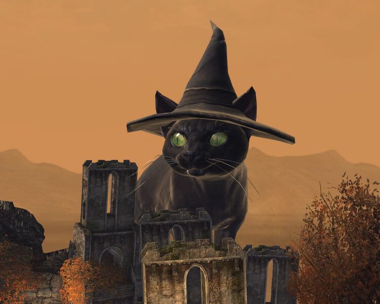 File:Gigantic cat Black Citadel.jpg
