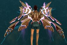 Shattered Stone Wings Glider.jpg