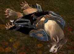 Dead Logger male.jpg