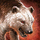 Bloodstone-Crazed Arctodus.png