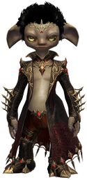 Midnight Hunter Outfit