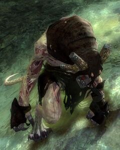 Risen Plague Carrier (charr).jpg