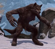 Eir Stegalkin (wolf form).jpg