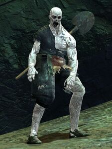 Risen Worker (male 1).jpg