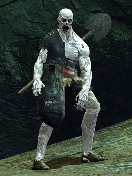 File:Risen Worker (male 1).jpg