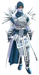 Crystal Nomad Outfit