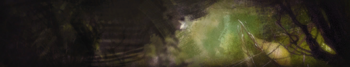 Heart of Maguuma Reward Track (WvW).png