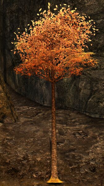 File:Kertch Sapling.jpg