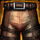 Stalwart Leggings.png