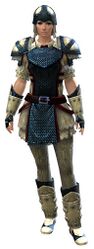 Militia armor norn female front.jpg