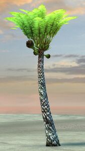 Palm Sapling.jpg