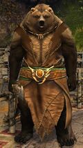 Lowland Kodan light 2.jpg
