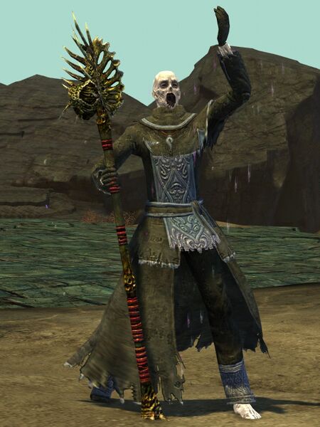File:Risen Wizard (male 1).jpg
