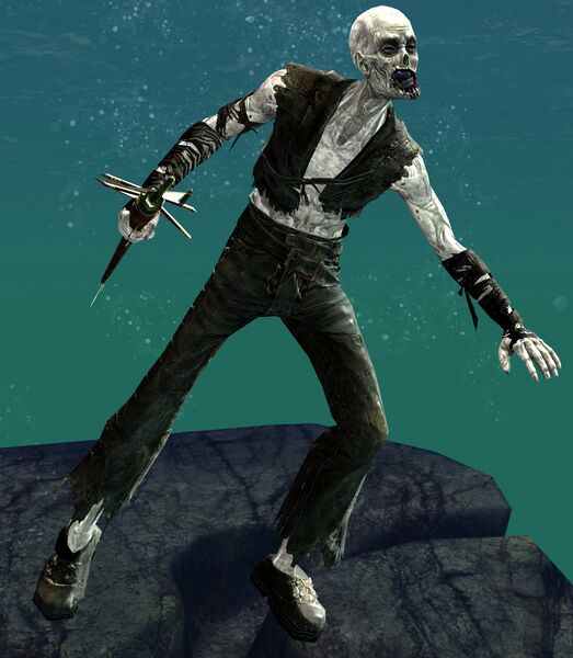 File:Risen Pirate (male 4 harpoon).jpg