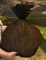 Celestial Tribute (Boar's Challenge held).jpg