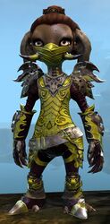 Triumphant Hero's armor (medium) asura female front.jpg