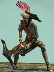 Risen 6.jpg